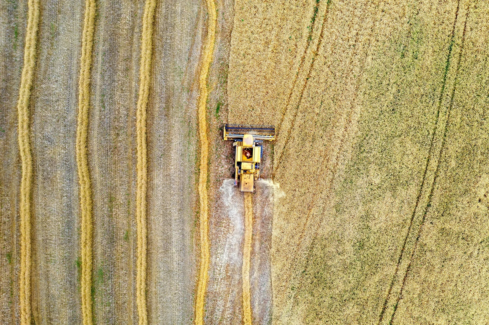 Moissonneuse-batteuse au travail dans un champ, vue du ciel — photographe drone Pays de Gex