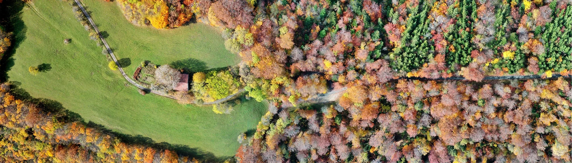Forêt automnale multicolore, route et chalet vus du ciel — photographie par drone
